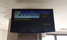 Syphax Airlines: Une agence ouvre ses portes à Montréal