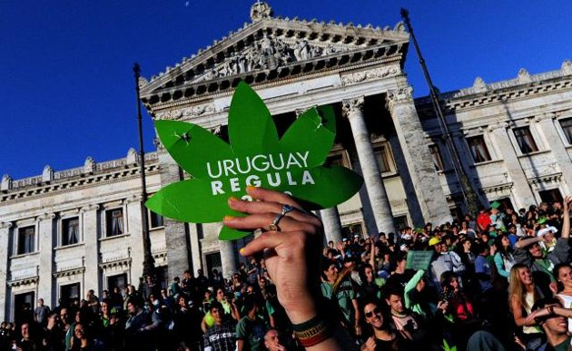 L’Uruguay élu le pays de l’année par «The Economist», en raison de la légalisation du cannabis