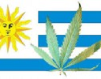 L’Uruguay élu le pays de l’année par «The Economist», en raison de la légalisation du cannabis